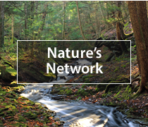 Visit Nature's Network